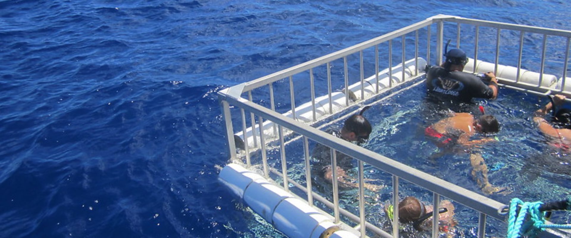 Feel The Rush: Shark Cage Diving On Oahu After A Thrilling Jet Ski Tour